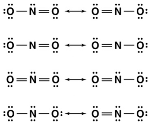 Nitrite (NO<sub>2</sub><sup>-</sup>)  is an important nutrient in the eutrophic zone of the ocean. Which of the following is the correct set of resonance structures for this ion?   A)  a B)  b C)  c D)  d