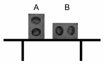 Two identical cement blocks are placed on a glass table in different positions as shown in the diagram. Which statement about these blocks is correct?   A)  A exerts more pressure on the table. B)  B exerts more pressure on the table. C)  Both blocks exert the same pressure on the table. D)  A exerts more force on the table. E)  B exerts more force on the table.