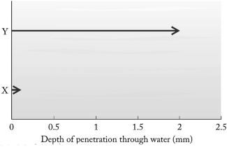  Particles emitted in radioactive decay have different penetrating power. The penetration depths of two particles, labeled X and Y, in a column of water are shown below. The Y particle most likely is not ________   A)  an  \alpha  particle. B)  a  \beta  particle. C)  a positron. D)  a  \gamma  ray. 