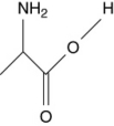 Which of the following are not amino acids? I.   II.   III.   IV.   A)  III and IV B)  I and II C)  I only D)  II only E)  III only