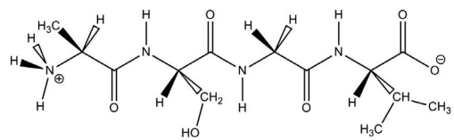 The molecule drawn below is an example of ________   A)  a nucleic acid base. B)  a peptide. C)  a carbohydrate. D)  a fatty acid. E)  an amino acid.