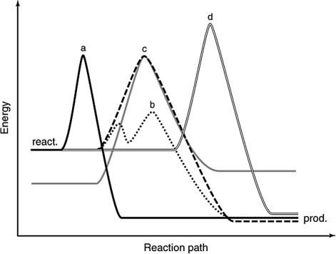 The following figure shows an uncatalyzed reaction path (dashed line) . Which of the other reaction paths shows the effect of a catalyst?   A)  solid line B)  dotted line C)  gray line D)  double line