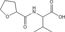 Identify all of the functional groups in the following molecule.  