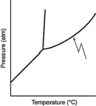 What does the line indicated by the arrow in the following phase diagram represent?   A)  solid-liquid boundary B)  solid-gas boundary C)  liquid-gas boundary D)  triple point E)  solid-solid boundary