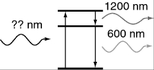 An atom in its ground state absorbs a single photon of light and then relaxes back to the ground state by emitting an infrared photon (1,200 nm)  followed by an orange photon (600 nm) . What is the wavelength of the photon that was absorbed initially?   A)  600 nm B)  1,200 nm C)  1,800 nm D)  900 nm E)  400 nm