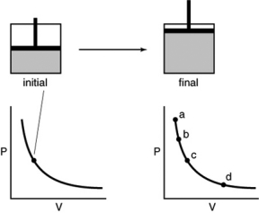 A gas is contained in the piston assembly and allowed to expand as in the following figure. Which point on the graph shows the correct final pressure and volume?   A)  a B)  b C)  c D)  d
