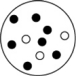 In which of the following containers is the mole fraction of argon greatest? The white circles represent helium atoms; the dark circles represent argon atoms. A)    B)    C)    D)   