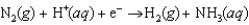 <strong>Plants convert nitrogen into ammonia. This biological nitrogen fixation is affected by enzymes called nitrogenases. The enzymes assist in the transfer of electrons. The unbalanced reaction equation is What is the stoichiometric coefficient for H<sup>+</sup> in the balanced reaction equation?</strong> A)1 B)2 C)4 D)6 E)8