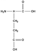 Which of the following compounds is an \alpha -amino acid? A) B) C) D)