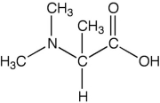 Which of the following are not amino acids? I.    II.    III.    IV.   A) III and IV B) I and II C) I and IV D) II and III only E) II and IV only