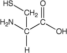 Which of the following are not amino acids? I.    II.    III.    IV.   A) III and IV B) I and II C) I and IV D) II and III only E) II and IV only