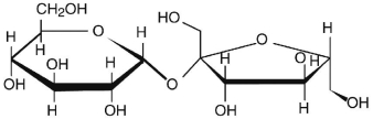 The molecule drawn below is an example of ________   A) a nucleic acid base. B) an amino acid. C) a disaccharide. D) a fatty acid. E) a lipid.