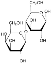 The molecule drawn below is an example of ________   A) a nucleic acid base. B) an amino acid. C) a carbohydrate. D) a fatty acid. E) a lipid.