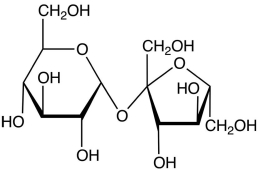 Correctly identify the following disaccharide.   A) cellulose B) sucrose C) starch D) glucose E) maltose