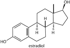 This molecule, like cholesterol, is ________   A) a nucleic acid base. B) an amino acid. C) a carbohydrate. D) a fatty acid. E) a lipid.