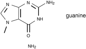 The molecule drawn below is an example of ________   A) a nucleic acid base. B) an amino acid. C) a carbohydrate. D) a fatty acid. E) a lipid.
