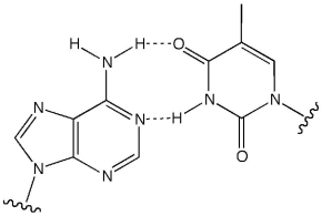 What type of intermolecular bonding interaction is depicted below?   A) London dispersion forces B) hydrogen bonding C) dipole-dipole forces D) dipole-induced dipole interactions E) ion-dipole interactions