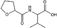 Identify all of the functional groups in the following molecule.  