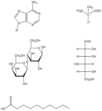 Identify each of the following molecules as one of the major structure classes of biomolecules discussed in the chapter.  