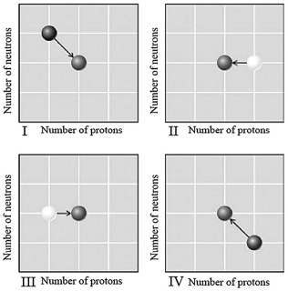 Which graph below illustrates neutron capture followed by <font face= symbol ></font>decay?   A) I B) II C) III D) IV