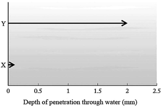 Particles emitted in radioactive decay have different penetrating power. The penetration depths of two particles, labeled X and Y, in a column of water are shown below. The Y particle most likely is not ________   A) an <font face= symbol ></font> particle. B) a <font face= symbol ></font> particle. C) a positron. D) a <font face= symbol ></font> ray.