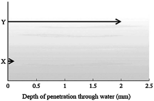 Particles emitted in radioactive decay have different penetrating power. The penetration depths of two particles, labeled X and Y, in a column of water are shown below. Which of the following statements could not be true?   A) X is an <font face= symbol ></font> particle and Y is a <font face= symbol ></font> particle. B) X is a <font face= symbol ></font> particle and Y is a <font face= symbol ></font> ray. C) X is an <font face= symbol ></font> particle and Y is a <font face= symbol ></font> ray. D) X is a <font face= symbol ></font> ray and Y is a <font face= symbol ></font> particle. E) All of the above are possible.
