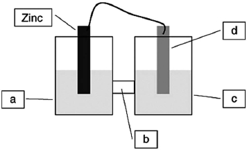 A voltaic cell is constructed based on the oxidation of zinc metal and the reduction of silver cations. Solutions of silver nitrate and zinc nitrate also were used. Locate the silver metal on the diagram.   A) a B) b C) c D) d
