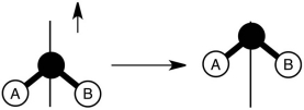 What type of motion is depicted in the following before-and-after pictures?   A) rotational B) translational C) vibrational D) Brownian E) all of the above