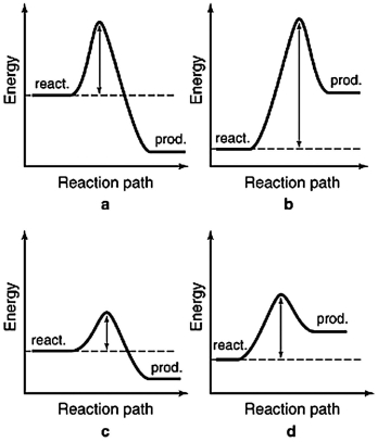 The energy profiles for four different reactions are shown below. The scales are the same for each. Which reaction is the most exothermic?   A) a B) b C) c D) d