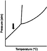 What does the line indicated by the arrow in the following phase diagram represent?   A) solid-liquid boundary B) solid-gas boundary C) liquid-gas boundary D) triple point E) solid-solid boundary
