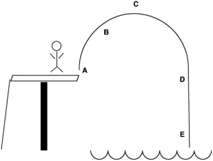 A diver jumps off a diving board. At which point in the diagram below will the diver possess the greatest kinetic energy?   A) A B) B C) C D) D E) E