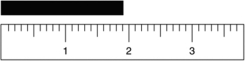Given the following figure, which of the measurements listed is the best estimate of the length of the aluminum rod?   A) 1.8 cm B) 1.81 cm C) 1.810 cm D) 1.9 cm E) 2 cm