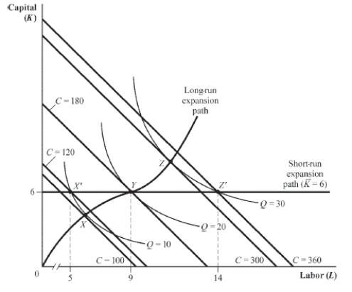 Use the following to answer question: Figure 7.19   -(Figure 7.19) Where the firm is producing, at point Y, graph the:  