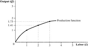 Use the following to answer question: Figure 6.14   -(Figure 6.14) Refer to the production function, which has a slope of 1/L<sup>0.5</sup>.  