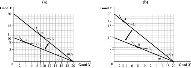 Use the following to answer question: Figure 5.20   -(Figure 5.20)  The cross-price elasticity of demand for good X with respect to good Y is _____ in panel (a)  and _____ in panel (b) . A)  zero; negative B)  negative; positive C)  positive; negative D)  negative infinity; positive