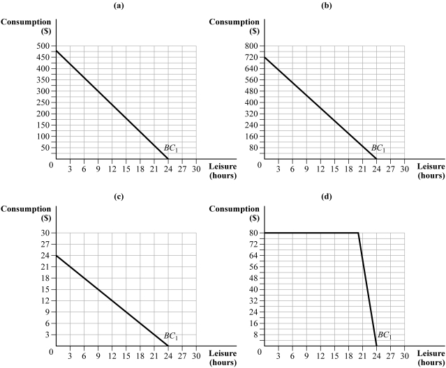 Use the following to answer questions 13-15: Figure 13.2   -(Figure 13.2)  If Louise was getting paid $20 per hour, then received a raise of $10 per hour, which graph would best illustrate her budget constraint? A)  (a)  B)  (b)  C)  (c)  D)  (d) 
