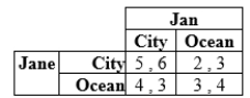 Jane and Jan are deciding whether to reserve a vacation room with a city view or an ocean view. Their payoffs in terms of their happiness are as follows.   a. What are the pure-strategy Nash equilibria if any? b. What is the mixed-strategy Nash equilibrium?