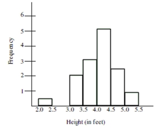 The histogram below is the distribution of heights for a randomly selected Boy Scout troupe. Choose the statement that is true based on information from the histogram.    A)  The smallest value is so extreme that it is possible that a mistake was made in recording the data. B)  The gap between the two smallest values indicates an outlier may be present. C)  Although the smallest value does not fit the pattern, it should not be altogether disregarded. It is Possible that the Boy Scout is 2.4 feet tall. D)  All of these are true statements.
