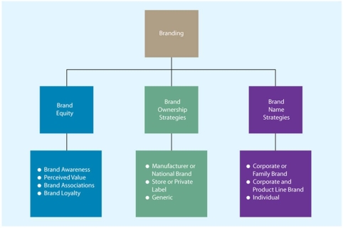 A flowchart representing the components of branding   -Taylor Inc.and Lee Corp.are brands owned and managed by their producer.These brands are examples of: A)  manufacturer brands. B)  generic brands. C)  private-label brands. D)  home brands. E)  public brands.