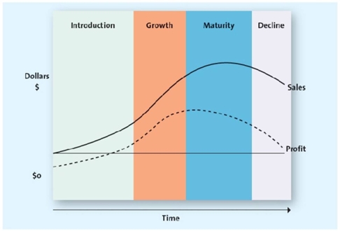 A graph representing the product life cycle   -The stage in a product life cycle in which innovators are the main consumers is called the: A)  innovation stage. B)  maturity stage. C)  growth stage. D)  introduction stage. E)  decline stage.