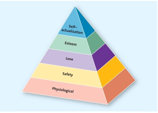 An image representing Maslow's hierarchy of needs in the form of a pyramid   -Marvin desires steady employment and extended health insurance.He also wants to live in a neighbourhood that is free of danger.In this case,Marvin is seeking fulfillment of his: A)  self-actualization needs. B)  esteem needs. C)  safety needs. D)  physiological needs. E)  social needs.