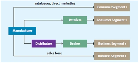 A flow chart representing multichannel distribution   -Jake walks into a store that has many cellphone brands and buys a phone for his personal use.Which of the following segments does Jake belong to? A)  Business segment 2 B)  Consumer segment 1 C)  Business segment 1 D)  Consumer segment 2 E)  Sales force