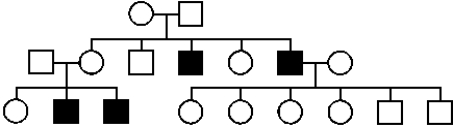 The following pedigree depicts the inheritance of a rare hereditary disease affecting muscles.   What is the most likely mode of inheritance of this disease? A) autosomal dominant B) autosomal recessive C) X-linked dominant D) X-linked recessive E) Y-linked