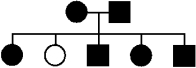 The following pedigree shows the inheritance of attached earlobes (black symbols) and unattached earlobes (white symbol) .Both alternative phenotypes are quite common in human populations.   If the phenotypes are determined by alleles of one gene,then attached earlobes are inherited as: A) an autosomal dominant trait. B) an autosomal recessive trait. C) a dominant trait that could be either autosomal or X-linked. D) a recessive trait that could be either autosomal or X-linked. E) an X-linked dominant trait.