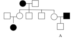What is the probability that individual A is a heterozygous with respect to the condition depicted in the pedigree?   A) 0% B) 25% C) 50% D) 75% E) 100%