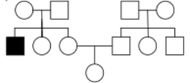 What is the most likely mode of inheritance of the exceptionally rare condition represented in the pedigree below,and why?   A) impossible to determine,because the condition is so rare B) recessive,because it is only present in one generation,but we do not have enough information to tell whether it's X-linked or autosomal C) recessive,because unaffected parents have an unaffected child,and autosomal,because there are more autosomes than there are X chromosomes D) X-linked recessive,because this would require the smallest number of rare alleles in the pedigree E) X-linked recessive,because it only affects a male,and his parents are unaffected