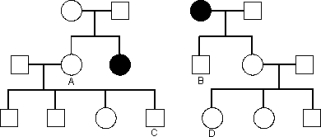 Consider the following pedigree of a rare autosomal recessive disease.Assume all people marrying into the pedigree do not carry the abnormal allele.    a)If individuals A and B have a child,what is the probability that the child will have the disease? b)If individuals C and D have a child,what is the probability that the child will have the disease? c)If the first child of C * D is normal,what is the probability that their second child will have the disease? d)If the first child of C * D has the disease,what is the probability that their second child will have the disease?