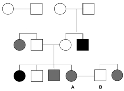 The pedigree below shows the inheritance patterns of two extremely rare,independent genetic conditions (represented with black and grey symbols,respectively) .If individuals A and B have a child,what is the probability that it will have both conditions?   A) 1/16 B) 1/9 C) 1/4 D) 1/3 E) 4/9