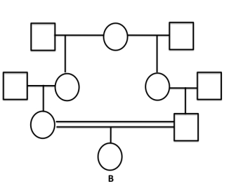 What is the inbreeding coefficient for individual  B  in the following pedigree?    A) 1/8 B) 1/16 C) 1/32 D) 1/64 E) 1/256