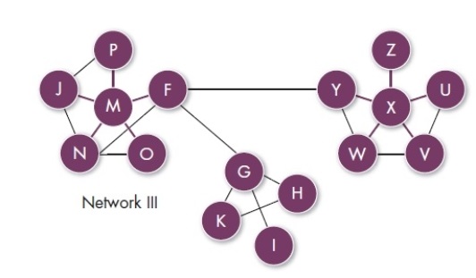 Based on the network diagram, which of the following function as boundary spanners?   A)  M and X B)  F, Y, and G C)  All except G, M, F, X, and Y D)  F, H, K, and M
